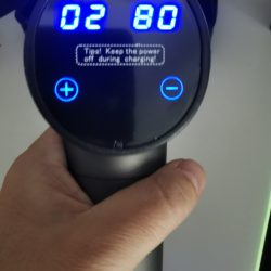 nobebird 2