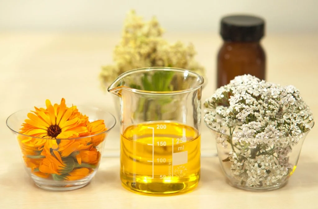 plantas e infusiones para el dolor de espalda